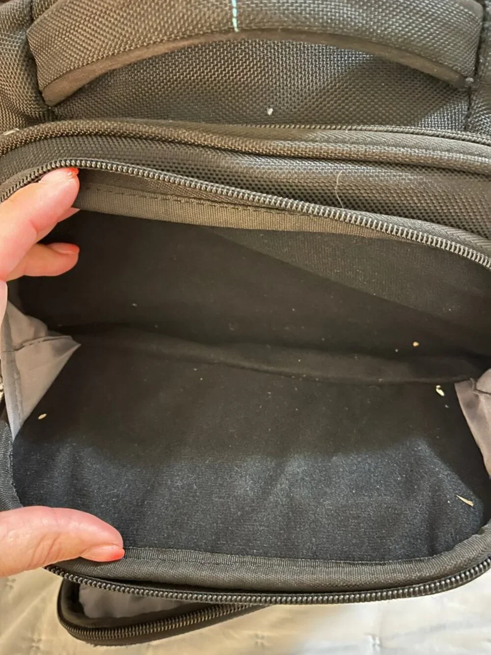 Samsonite Novex Laptop Backpack | Black | Fits 15.6